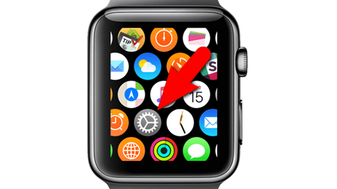 Hướng dẫn điều chỉnh cảm biến haptic trên Apple Watch 1 Hướng dẫn điều chỉnh cảm biến haptic trên Apple Watch hình 1